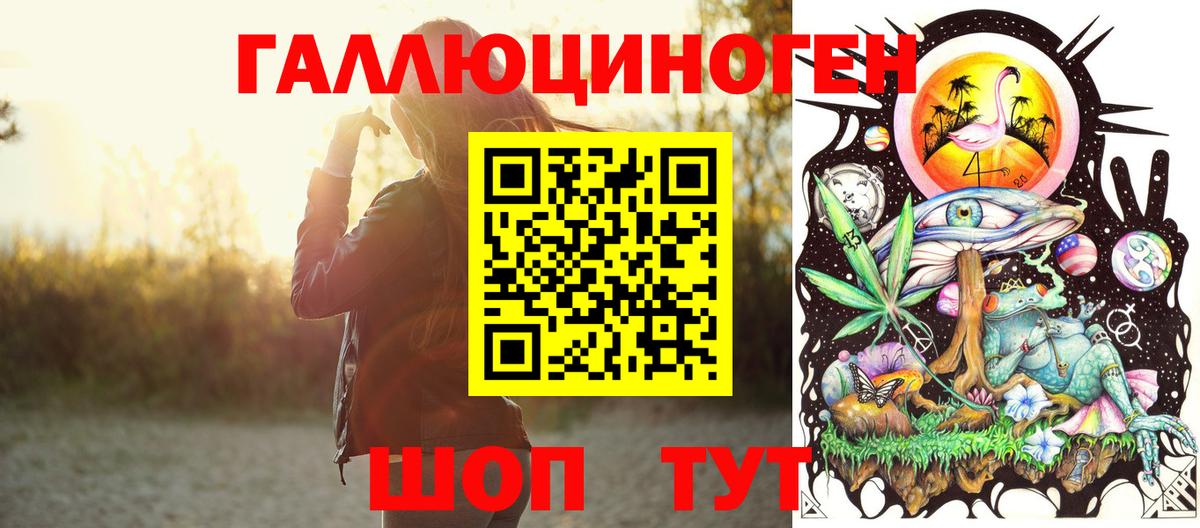 Псилоцибиновые грибы Psilocybe  Вход с VPN  Псилоцибиновые грибы Cubensis  Моздок 